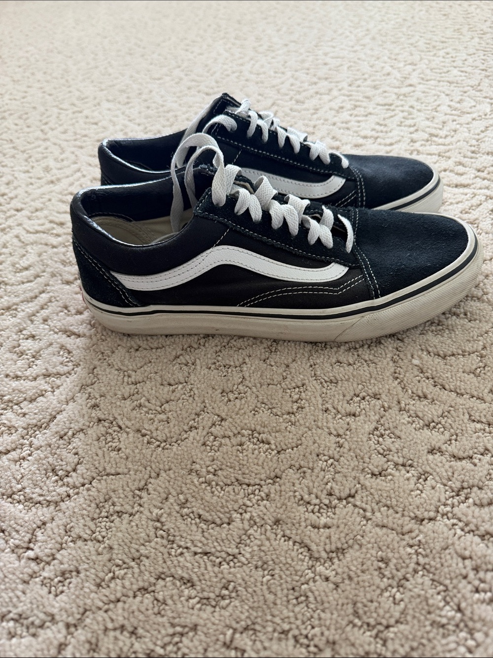 Vans Black & White Low-Top Skate Sneakers
